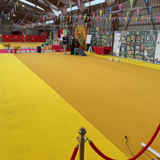 Moquette Stand Event - Jaune safran installée dans un hall d'exposition avec allée événementielle protégée