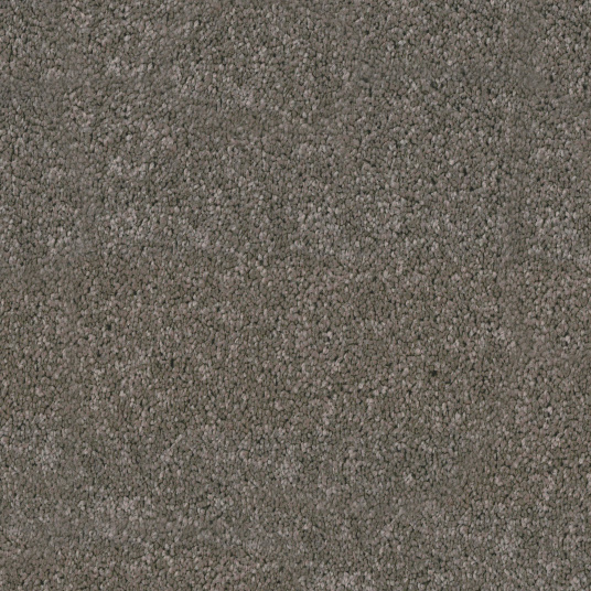 Moquette résistante aux taches Chromaluxe marron foncé