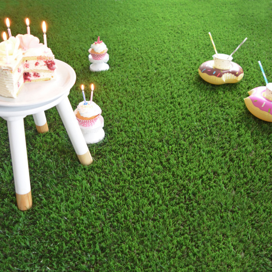 Pelouse artificielle Expo classée feu Bfl-S1, surface réaliste pour stand ou jardin design