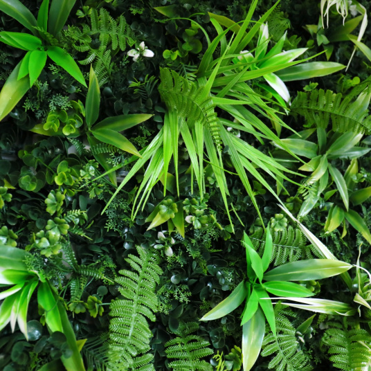 Détail des feuillages exotiques du mur végétal Forêt tropicale