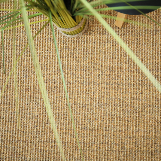 Sisal Yucatan Chaume - vue de haut