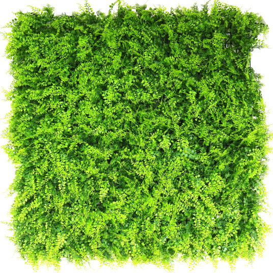 Mur végétal artificiel - Fougère - Intérieur et extérieur, plaque de 1x1 m à feuillage dense