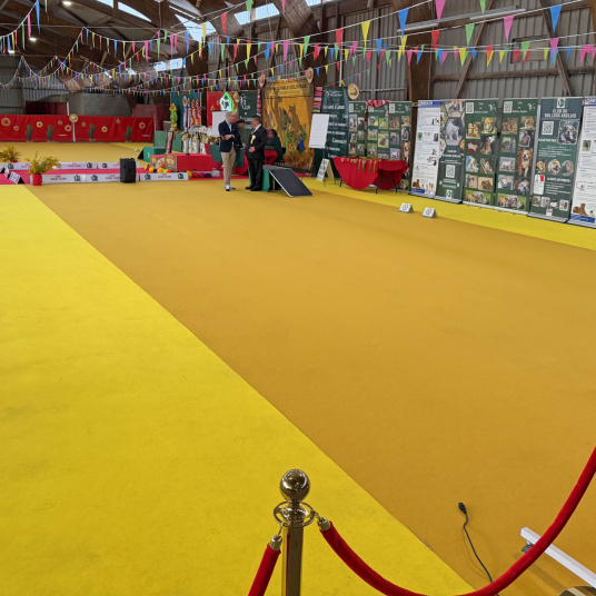 Moquette filmée Stand Event - Jaune safran aux couleurs lumineuses habillant un espace d'exposition intérieur