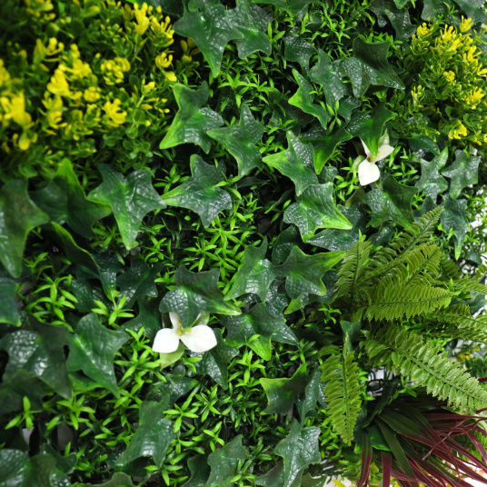 Zoom sur la végétation du mur végétal balade printanière aux tons verts, jaunes et blancs