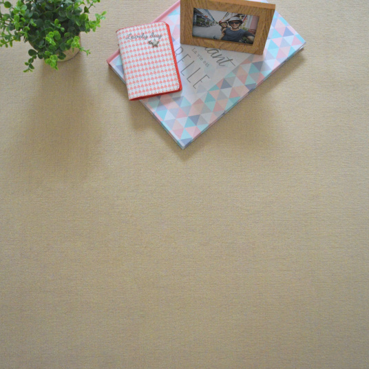 Tapis en velours Loft Résist - Beige, dans un intérieur minimaliste