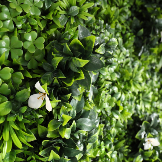 Zoom sur les trèfles artificiels du mur végétal artificiel Manoir champêtre avec fleur blanche