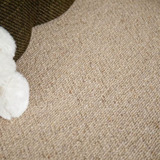 Revêtement en pure laine vierge bouclée Mallow beige – sol naturel et raffiné