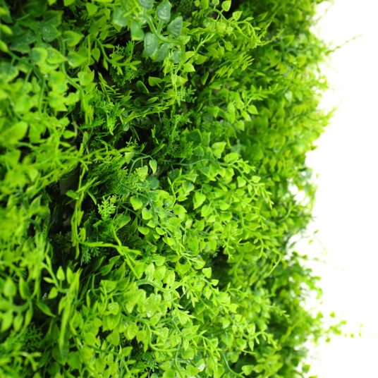 Finition dense et naturelle du mur végétal artificiel Fougère pour Intérieur et extérieur