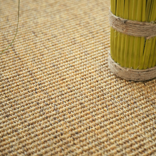 Sisal Yucatan Chaume - vue de près