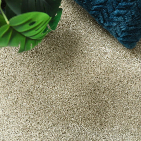 Moquette chambre ou salon Select vert tilleul - gros plan