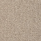 Beige Beige
