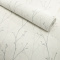 Feuillage gris Feuillage gris
