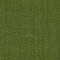 Vert pomme Vert pomme