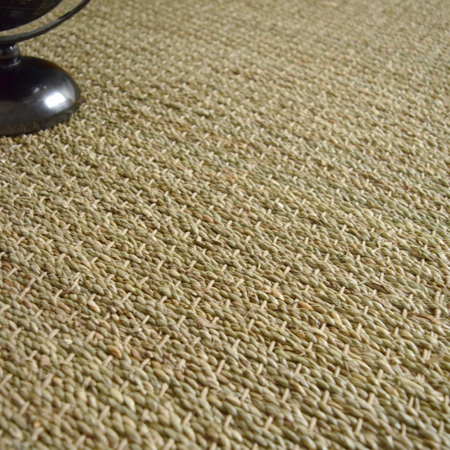 Jonc de mer Varana - Panama - vue de près