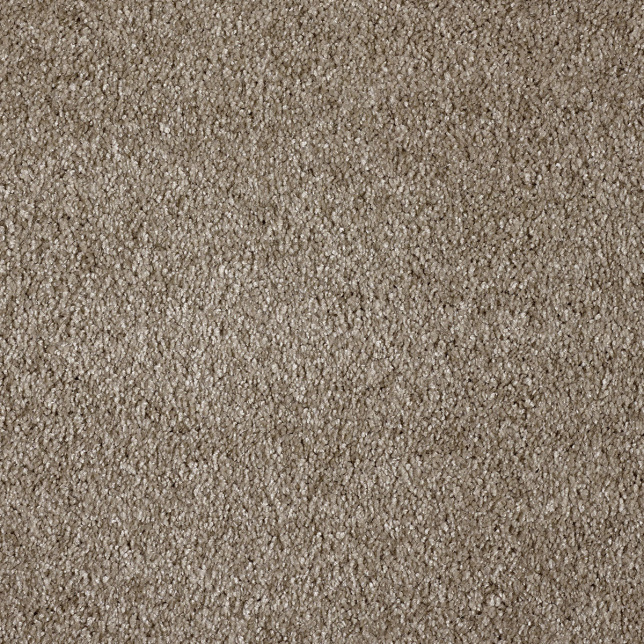 Moquette ultra douce Pulse Taupe fumé au toucher soyeux, conçue pour un usage intérieur confortable et une atmosphère feutrée