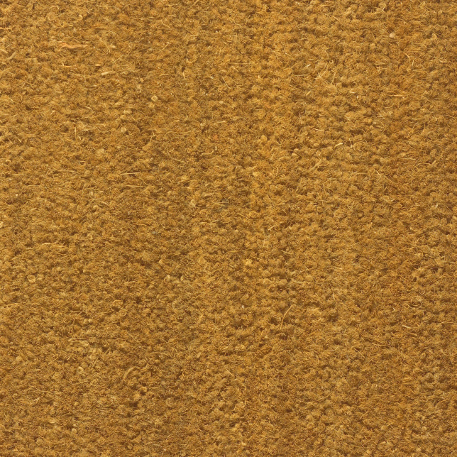 Tapis sur mesure Paillasson Brosse Coco 23mm - Écru