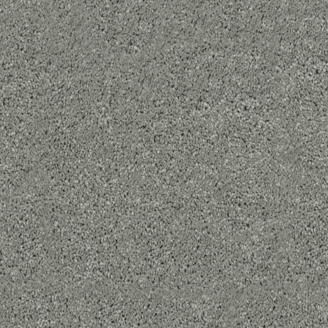 Moquette résistante aux taches Chromaluxe vert de gris