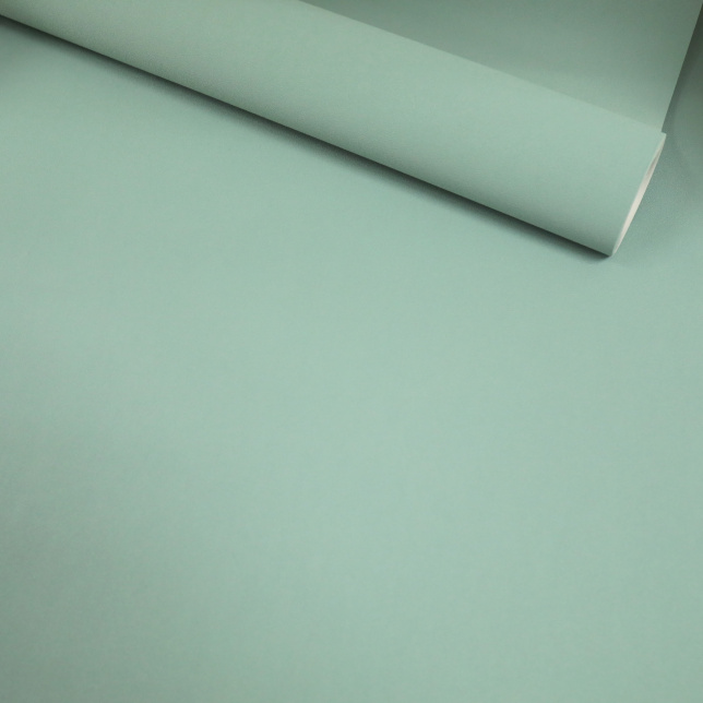 Papier peint vinyle sur intissé - Intemporel - Uni grain fin vert d'eau