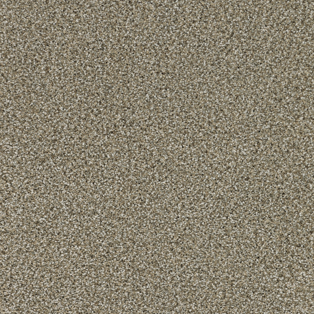 Moquette velours Balsan beige zibeline