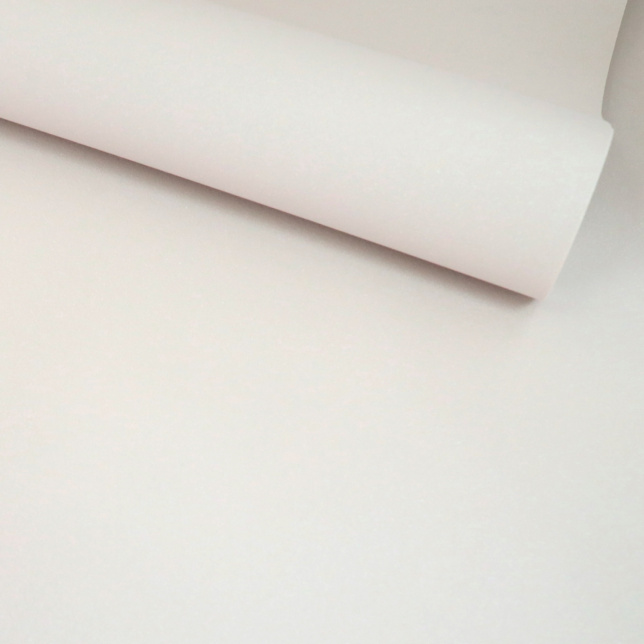 Papier peint expansé sur intissé - Rose gold - Uni nude à paillettes