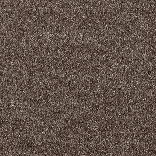 Moquette en polyester recyclé Re-cycle marron brun