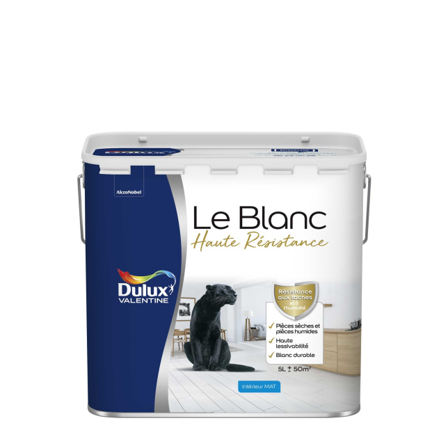 Dulux Valentine Le Blanc Haute Résistance - Toutes pièces - Mat Blanc