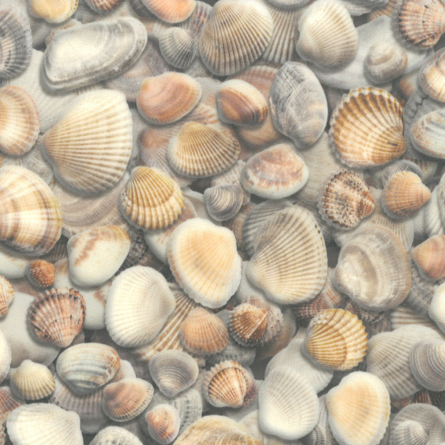 Tapis sur mesure vinyle Relief 3D Coquillages avec impression réaliste en haute définition