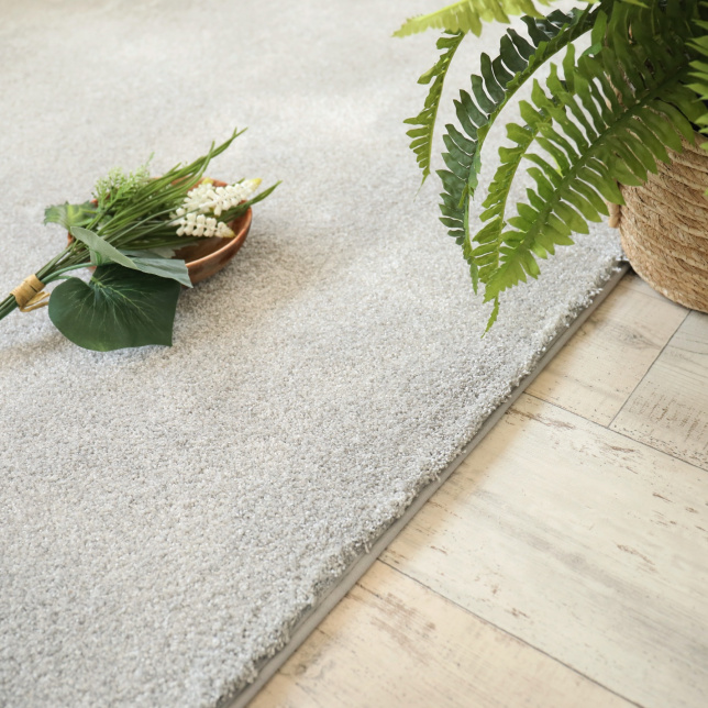 Tapis doux poils longs - Touch gris clair - Galon gris clair - salon