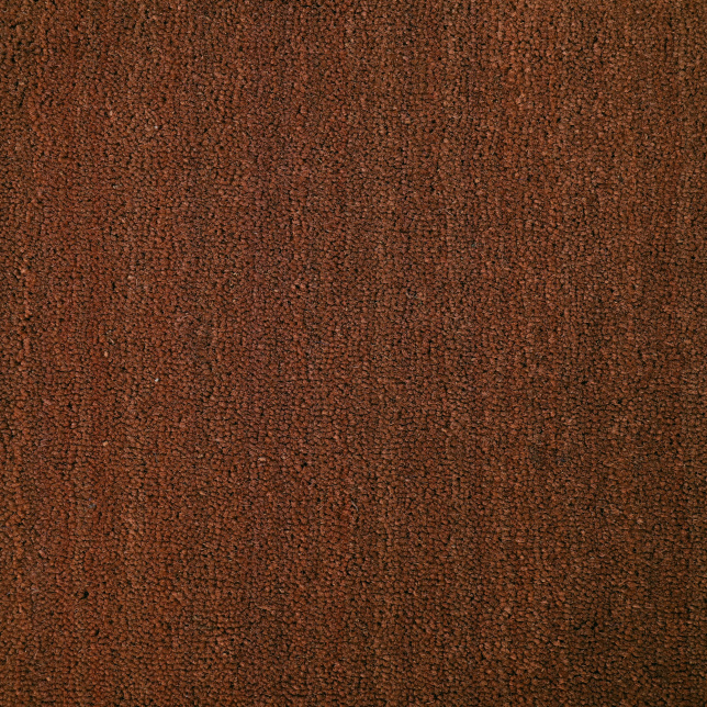 Tapis sur mesure Paillasson Brosse Coco 17mm - Rouille