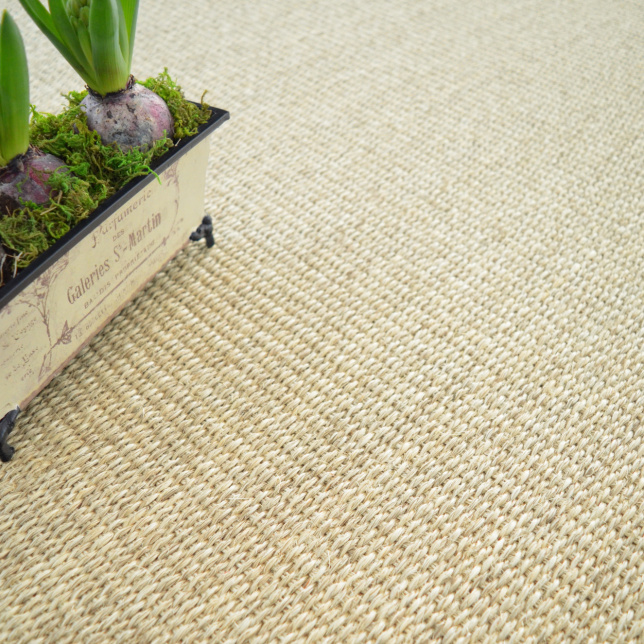 Sol Sisal Quintana blanchi - vue de près