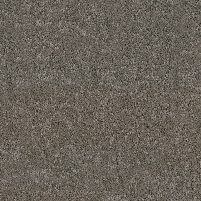 Moquette résistante aux taches Chromaluxe marron foncé