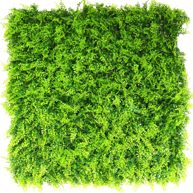 Mur végétal artificiel - Fougère - Intérieur et extérieur, plaque de 1x1 m à feuillage dense