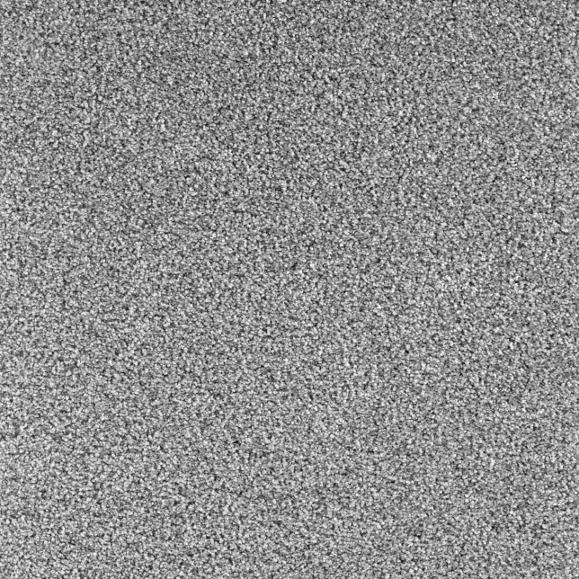 Moquette velours Feelings Balsan Gris écume