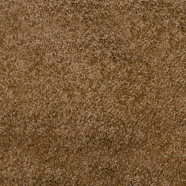 Moquette résistante aux taches Chromaluxe noisette