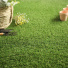 Gazon synthtique Easy - 25 mm - jardin