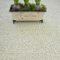 Tapis Sisal Quintana blanchi ganse coton cru