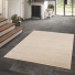 Tapis de salon - Pola - Beige et terra - entre