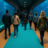 Moquette filmée - Stand Event - Turquoise - Aquarium géant