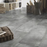 Sol PVC Smart - imitation Parquet Métallique - Salon avec chien