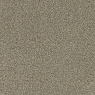 Visuel - Moquette Velours - Feelings Balsan - Beige Zibeline 650