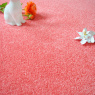 Visuel - Moquette - Mange - Rose bonbon