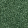 Visuel - Moquette Velours - Feelings Balsan - Vert Brocliande 280