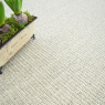 Visuel - Tapis Sisal Quintana blanchi - Ganse polypropylne chocolat