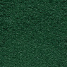Visuel - Moquette ultra douce - Pulse - Vert forêt
