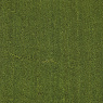 Visuel - Paillasson - Tapis brosse Coco - Vert Pomme - Ep. 23mm