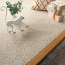 Visuel - Tapis pure laine - Latoon grège - Ganse coton moutarde